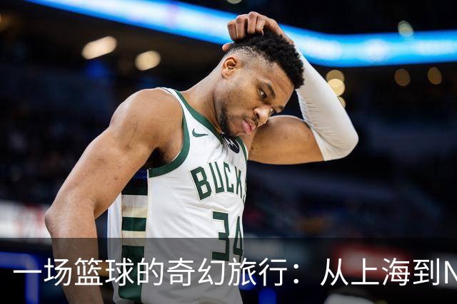 一场篮球的奇幻旅行：从上海到NCAAd1的成长记