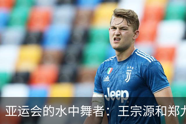 亚运会的水中舞者：王宗源和郑九源的超凡跳水秀